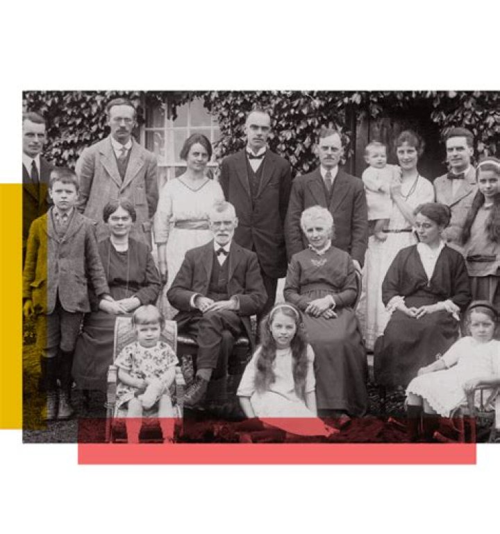 Discover The Family History And Relationships Of Jay Harrington