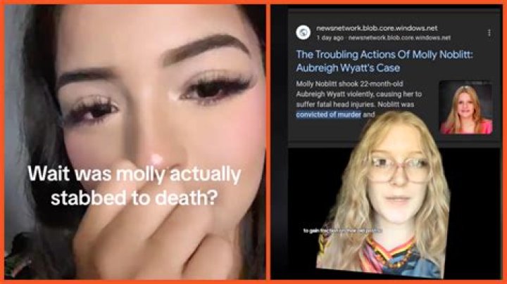 The Extraordinary Rise Of BBC News Reporter Molly Noblitt