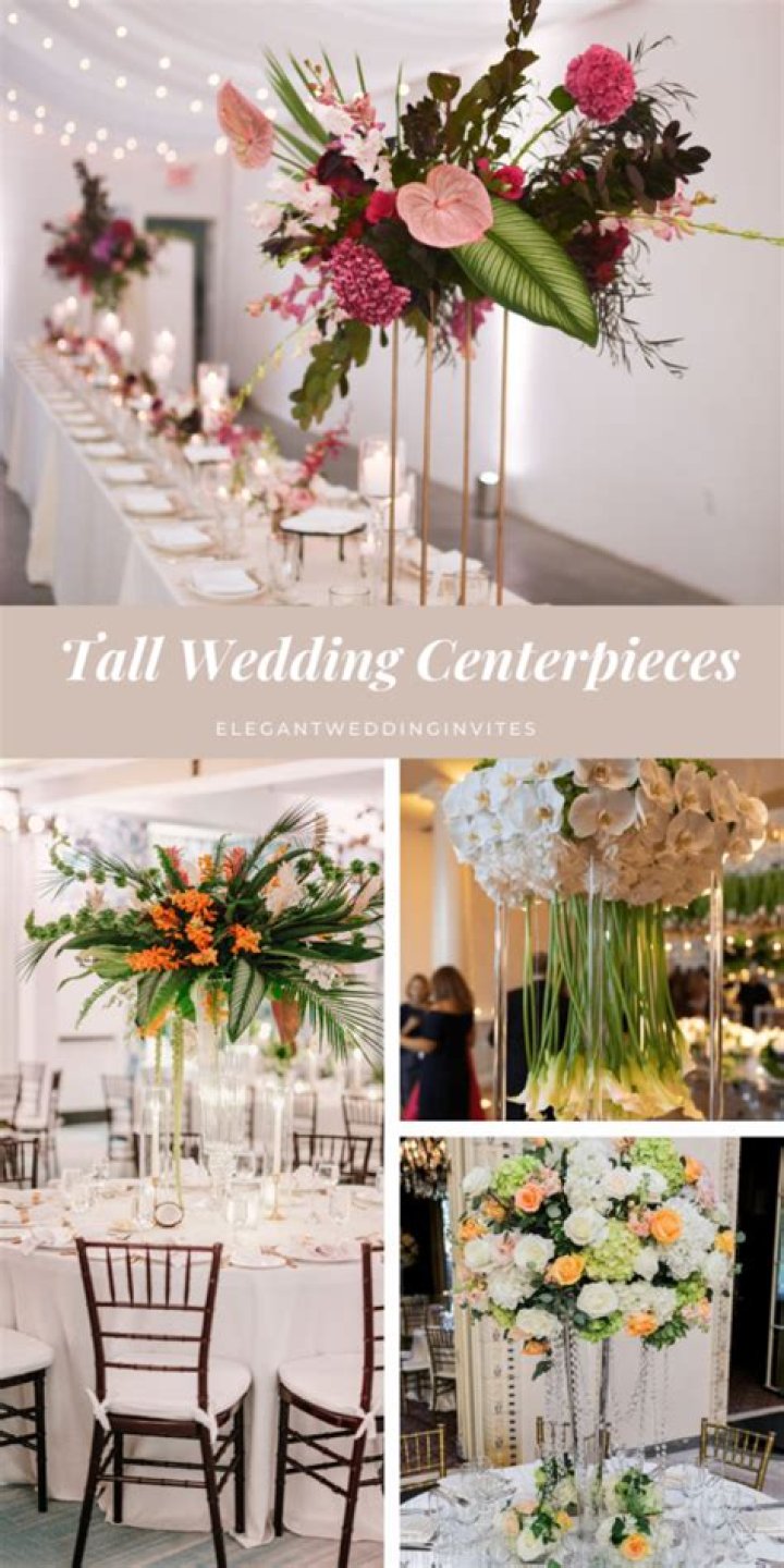 Towering Elegance: Unveiling The Majestic Pink Height