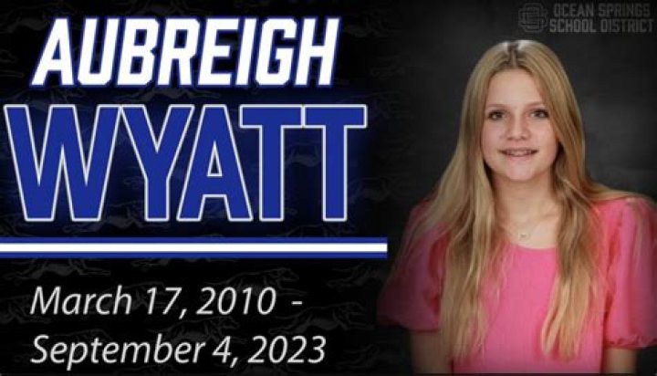 Understanding The Impact Of Aubreigh Wyatt Bully Texts