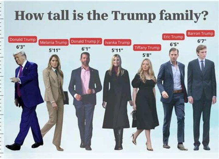 Unraveling The Height Of Colin Salmon: How Tall Is He In Feet?
