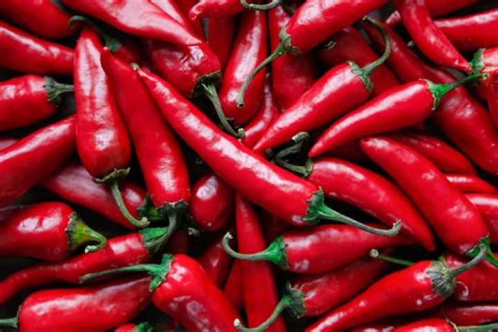 Unveiling The Mystery Of Helena: The Red Hot Chili Peppers' Girlfriend