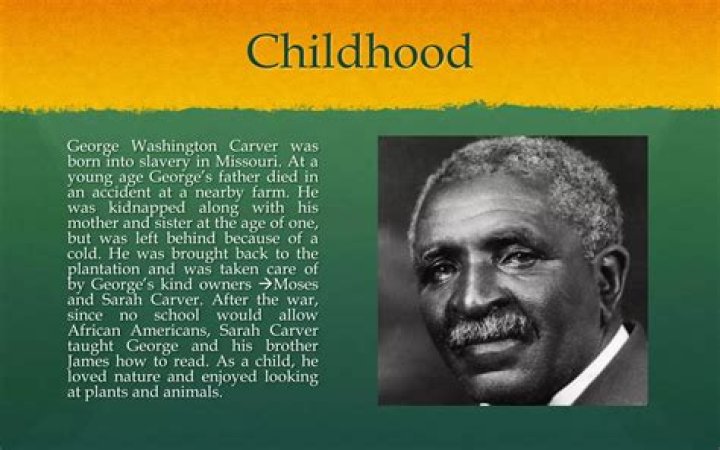 When Was Emily Carver Born? Find Out Here